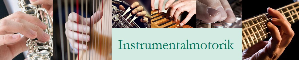 Instrumentaltechnik, Spielmotorik, Feinmotorik, Disposition